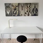 Apartment Helle Und Charmante Dachgeschosswohnung In Top-lage